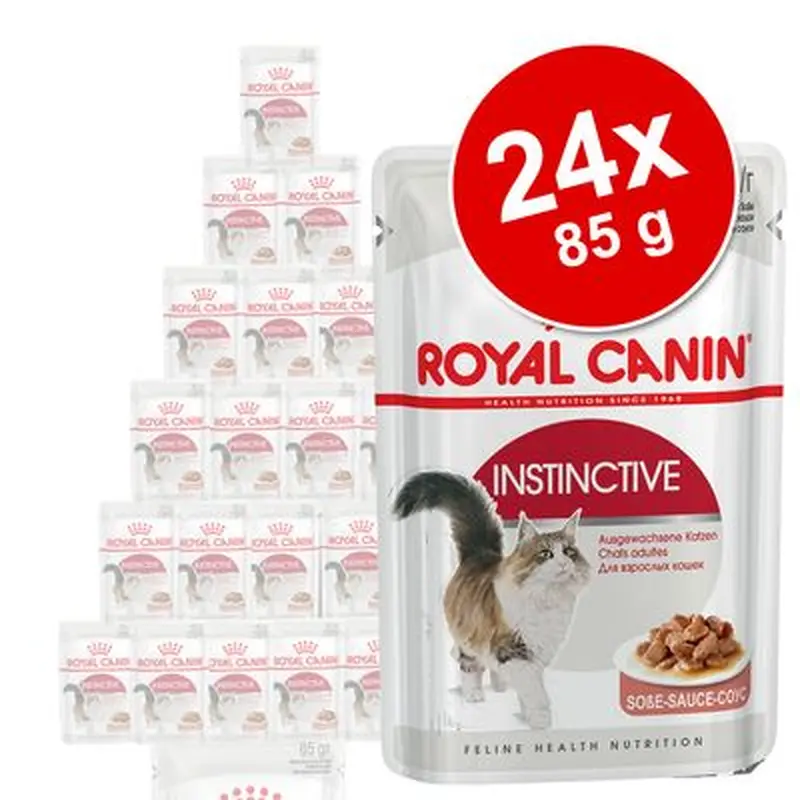 Royal Canin Wet Cat Food Saver Pack 24 x 85g - Hair & Skin Care in Gravy