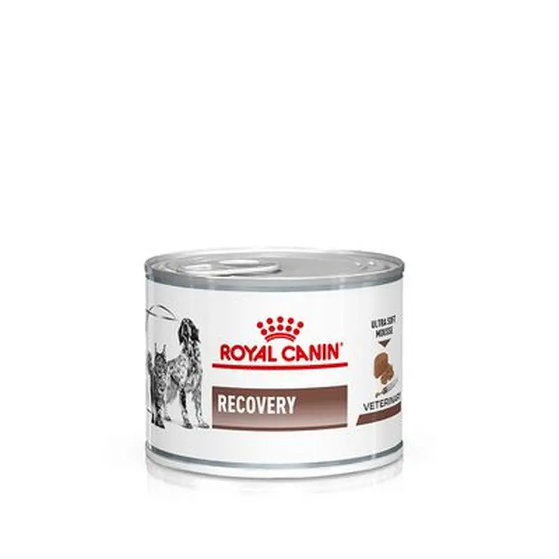 Royal Canin Veterinary Dog & Cat  Recovery Mousse - 12 x 195g