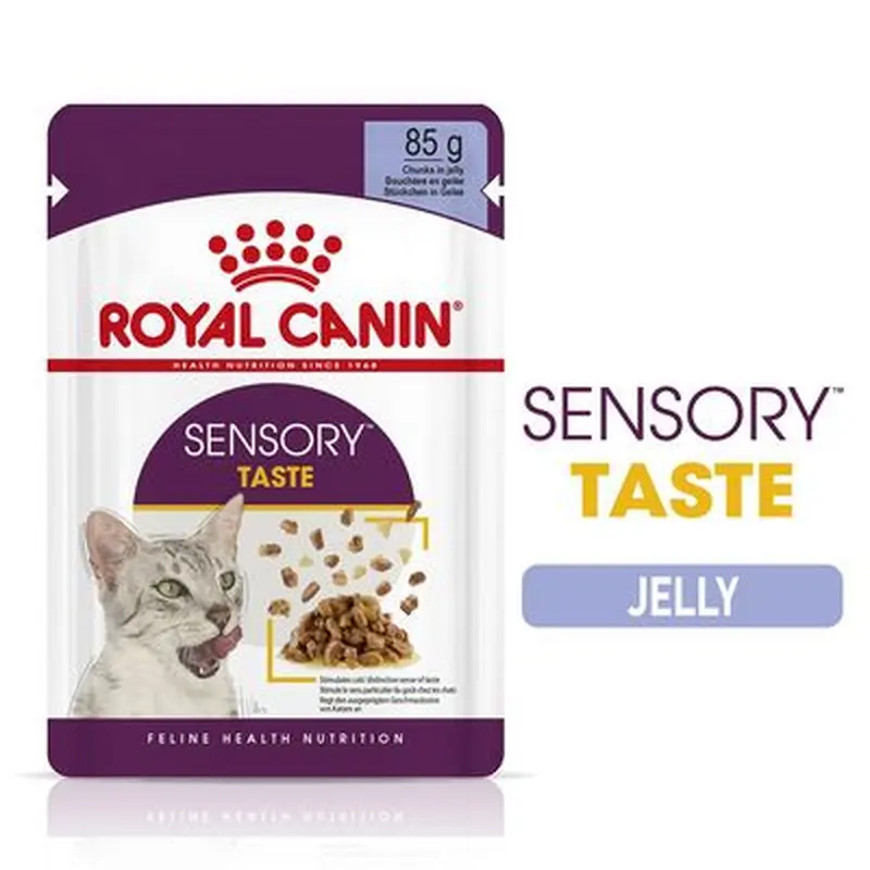 Royal Canin Sensory Taste in Jelly - Saver Pack: 48 x 85g