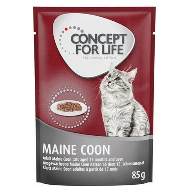 Concept for Life Maine Coon Adult - in Ragout - 12 x 85g