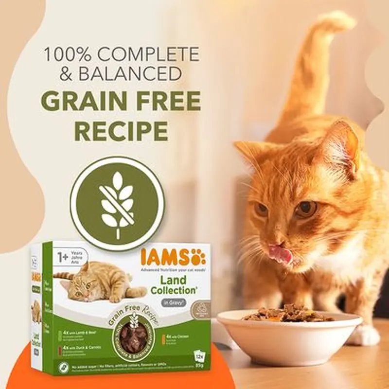 IAMS Advanced Nutrition Grain Free - Land Collection in Gravy - Saver Pack: 24 x 85g