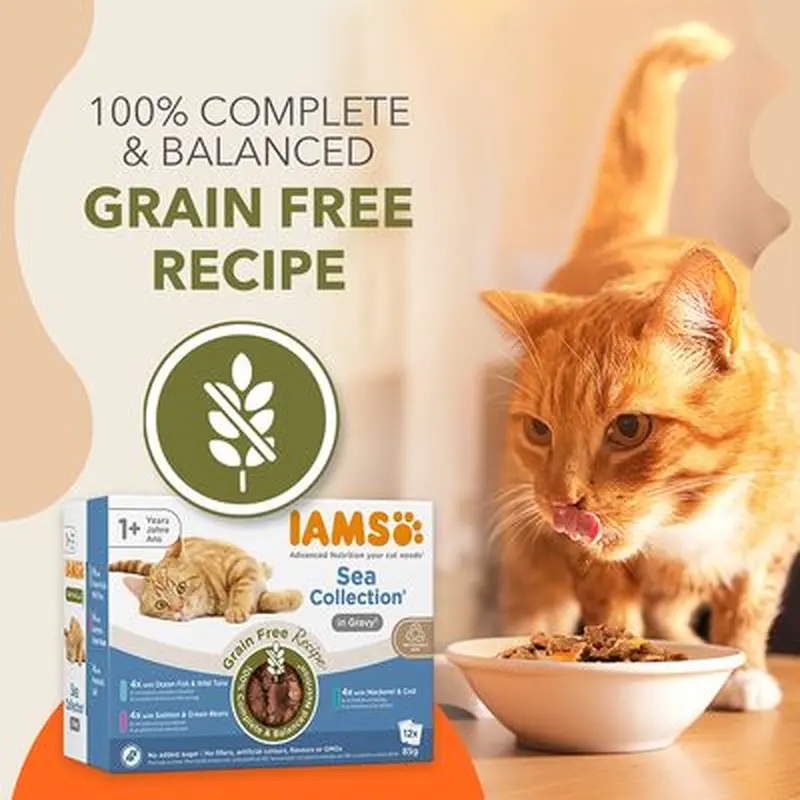 IAMS Advanced Nutrition Grain Free - Sea Collection in Gravy - Saver Pack: 24 x 85g