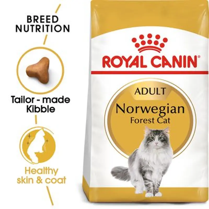 Royal Canin Norwegian Forest Cat Adult - Economy Pack: 2 x 10kg
