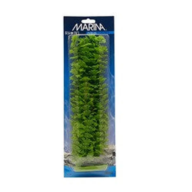 Aquascaper Ambulia Extra Large 15in Pp1502
