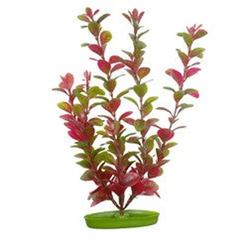 Aquascaper Red Ludwigia Large 12in Pp1219