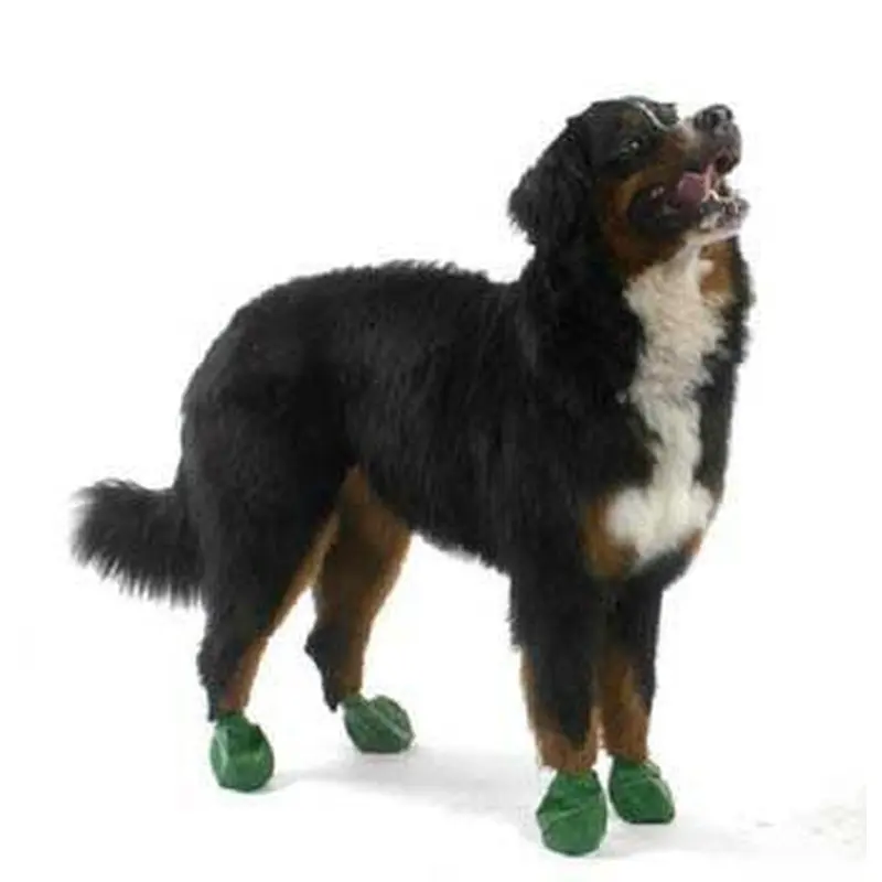 Pawz Dog Boots 12 pk. Extra Large 