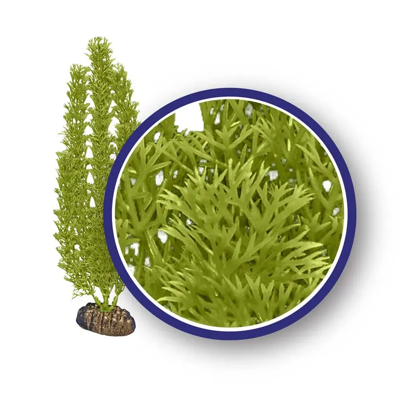 Weco Freshwater Series Foxtail Aquarium Plant Green 12 in
