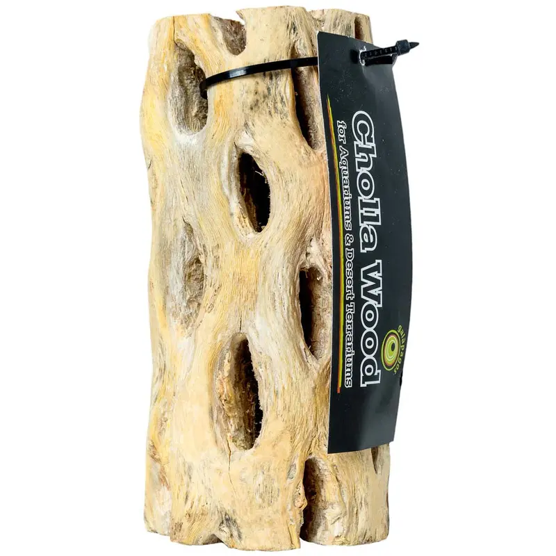 Galapagos Cactus Skeleton Cholla Wood Brown 12 in