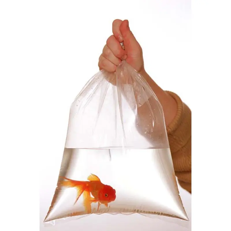 Rutan Poly Industries Fish Bags Clear 1.5mm 6 InchesX 12 Inches, 1000 Bag
