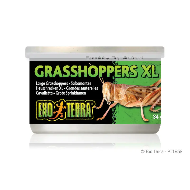 Exo Terra Canned Grasshoppers XL, 1.2 oz