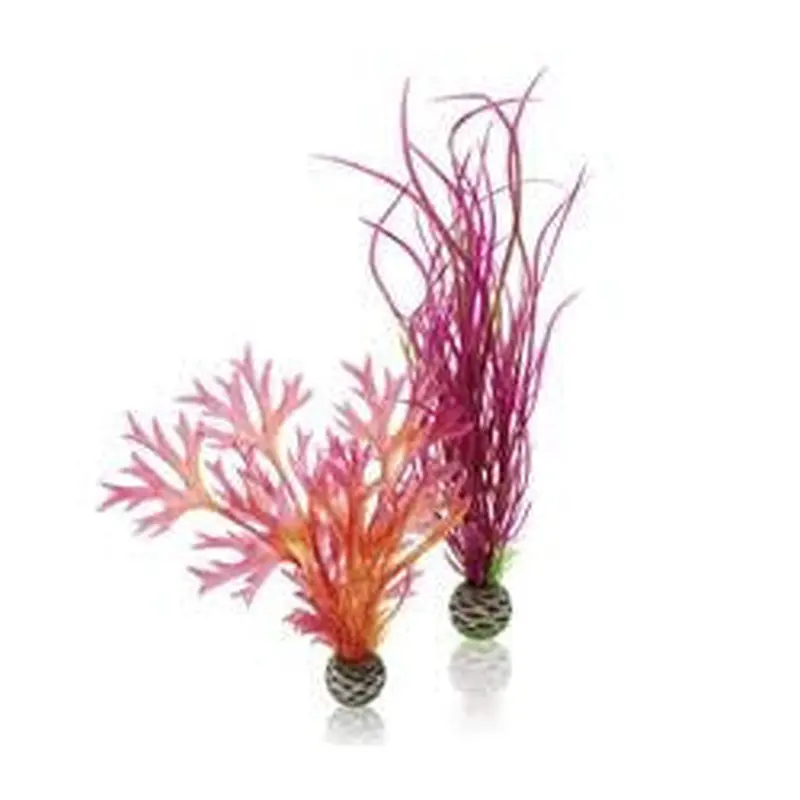 biOrb Plant Set 2 Medium Red/Pink 