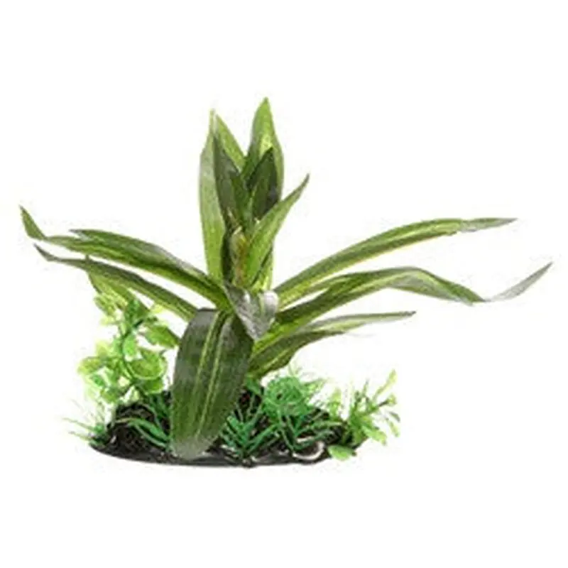 Hagen Fluval Giant Sagittaria Plant 4in Pp1620