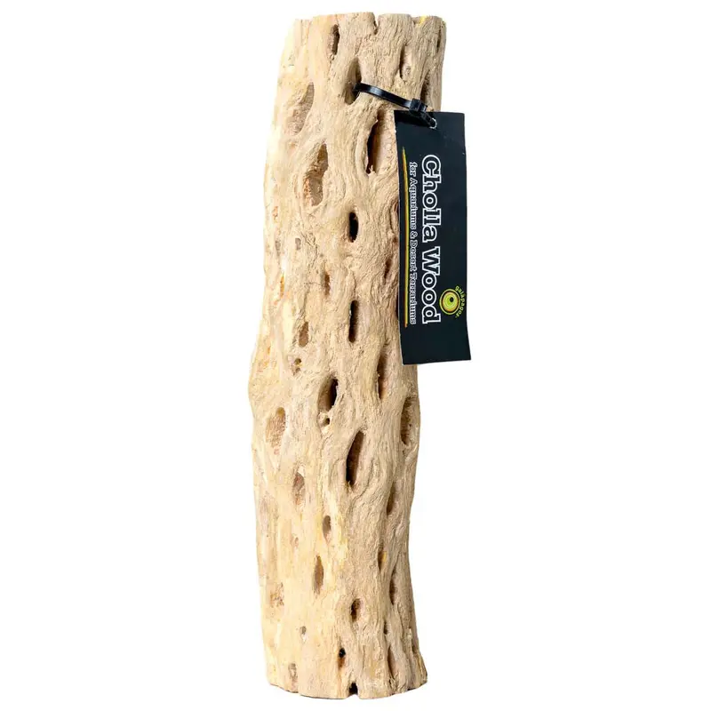 Galapagos Cactus Skeleton Cholla Wood Brown 24 in
