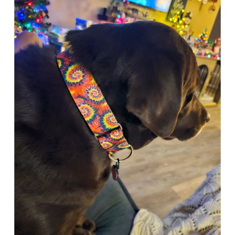 2 Hounds Design Dog Collar - Medium 14-18" - Classic Tie-Dye
