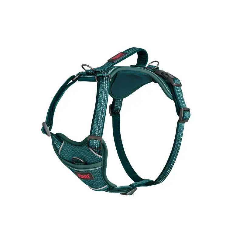 Company of Animals Halti Anatomy Harness Green Medium