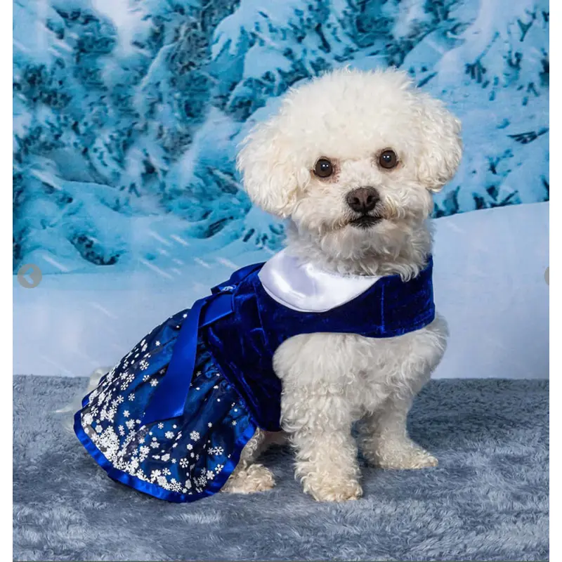 Holiday Dog Harness Dress - Snowflakes