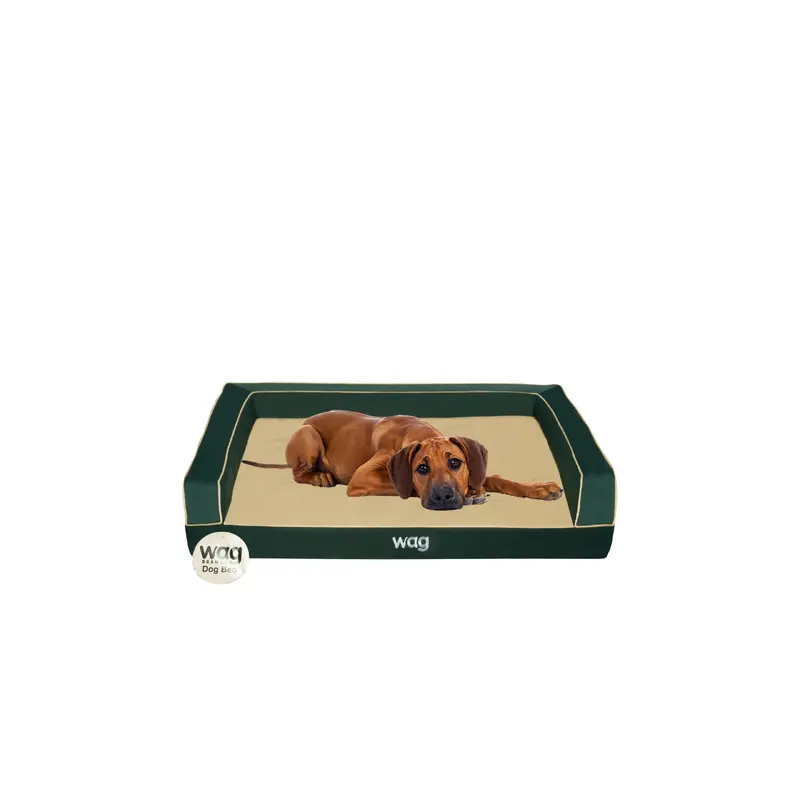 Wag Dog Bed in Pine Green