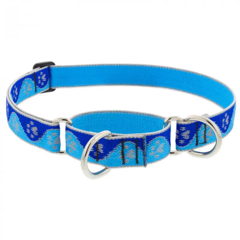 Lupine Dog Collar Martingale 1" Wide X 15"-22" Neck Size Blue Paws