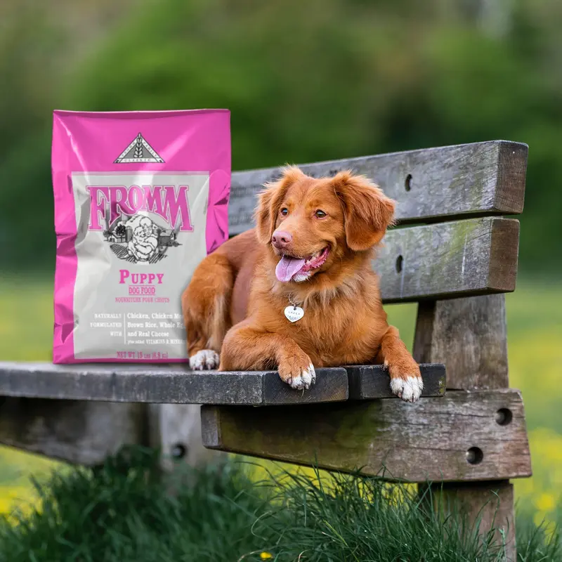 Fromm Classic Puppy Dry Dog Food - Chicken - 15lb Bag