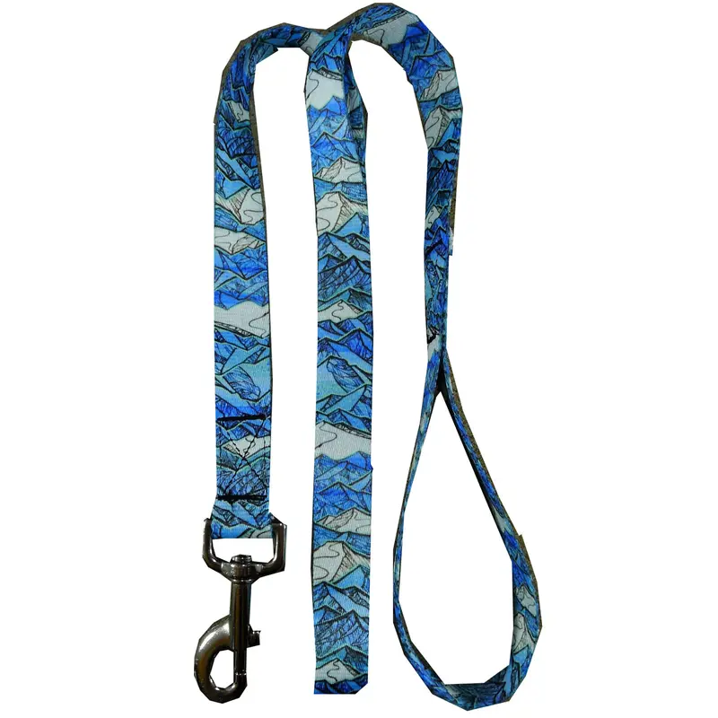 MTN Straps Salida Magic Dog Leash 6 Foot
