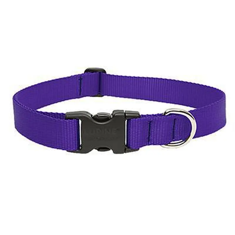 Lupine 3/4 Collar 9"-14" Adj Purple