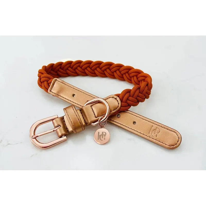 NEW - Dog Collar Cinnamon Rust Plaited
