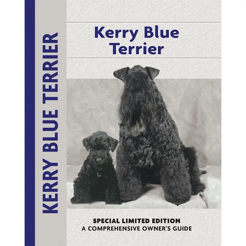 Kerry Blue Terrier