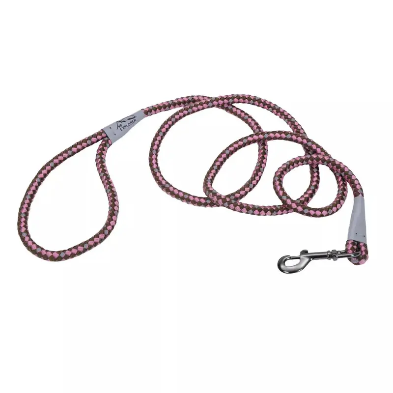 Coastal K9 Explorer 6ft Long 1/2in Reflective Braided Rope Snap Dog Leash Rosebud