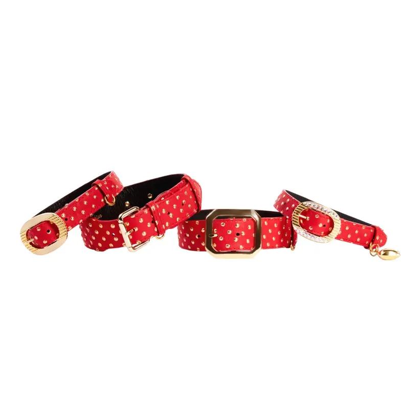 Red & Gold Polka Dot Italian Leather Set Of 4
