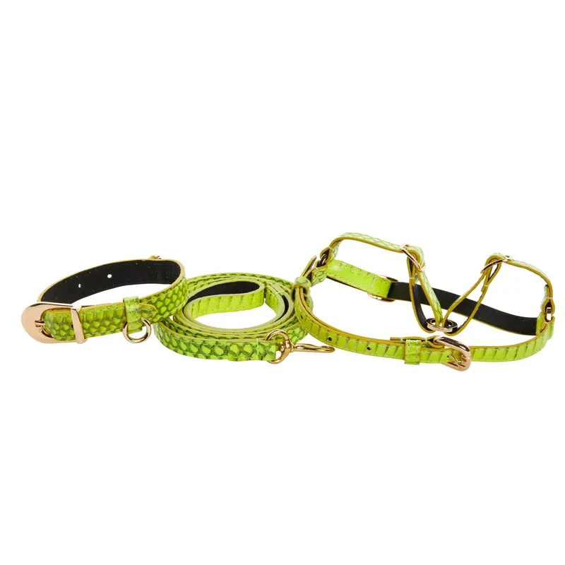 XS Light Neon Green Snake Collar Leash, Harness Set
