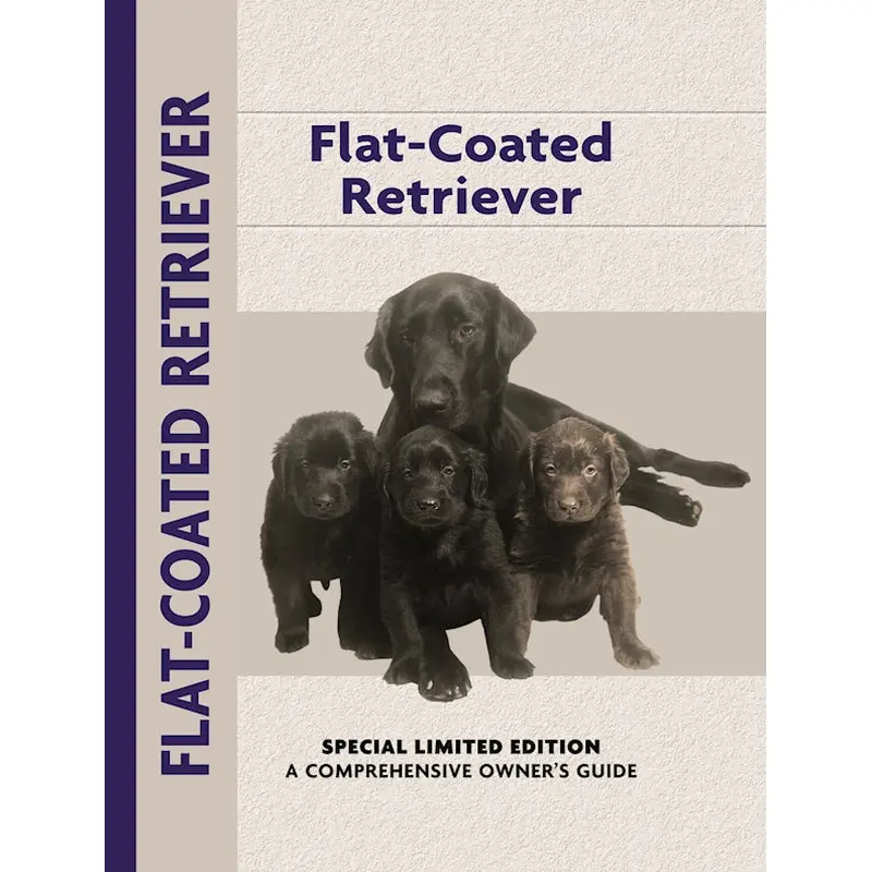 Flat-Coated Retriever