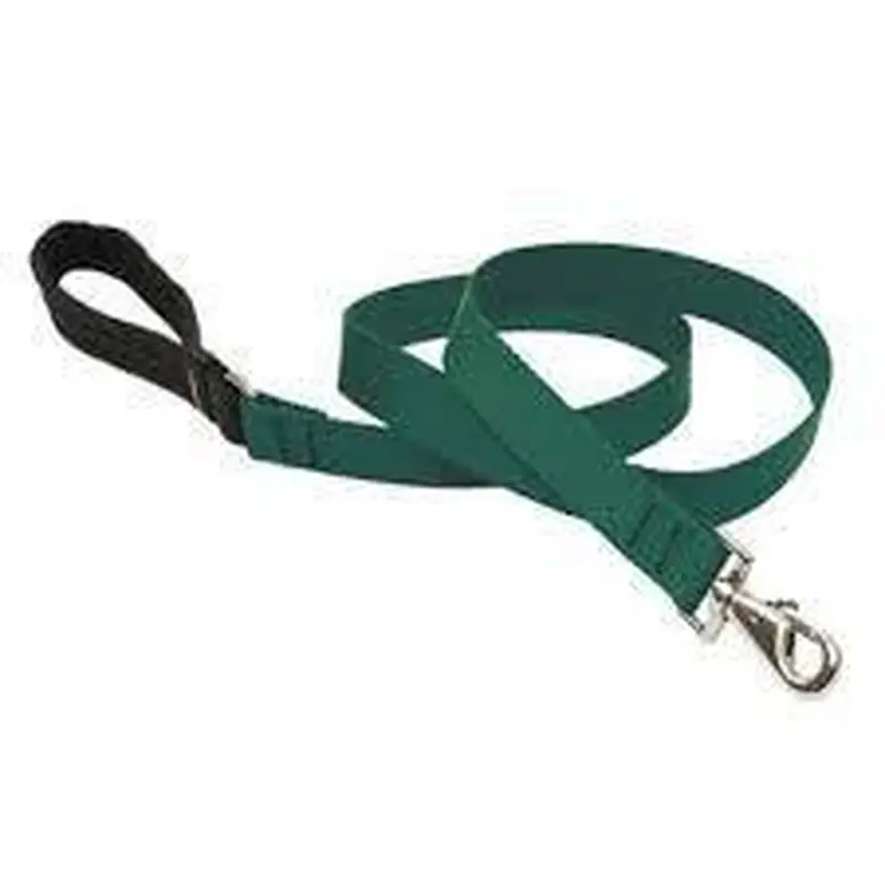 Lupine 1in Green 6ft Leash