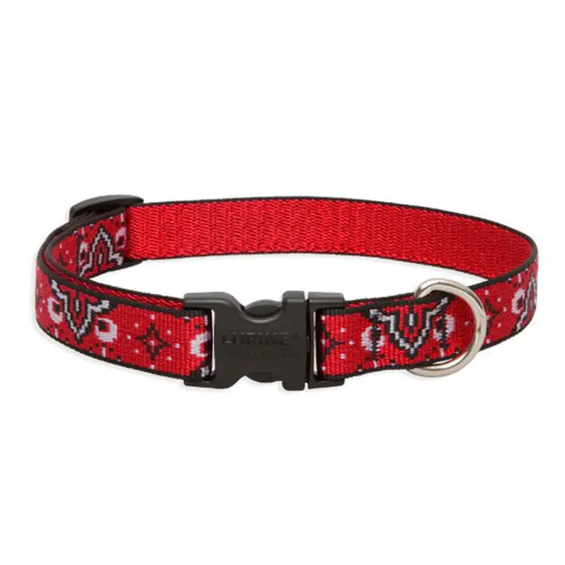 Lupine Wild West Adjustable Collar 3/4" Wide x 15-25" Neck Size Wild West