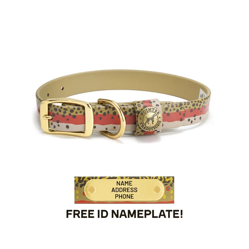 Sporting Dog Collar - Rainbow Trout