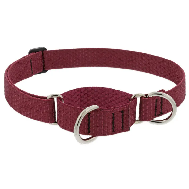 Lupine Eco Martingale Dog Collar 1"x19-27" Berry