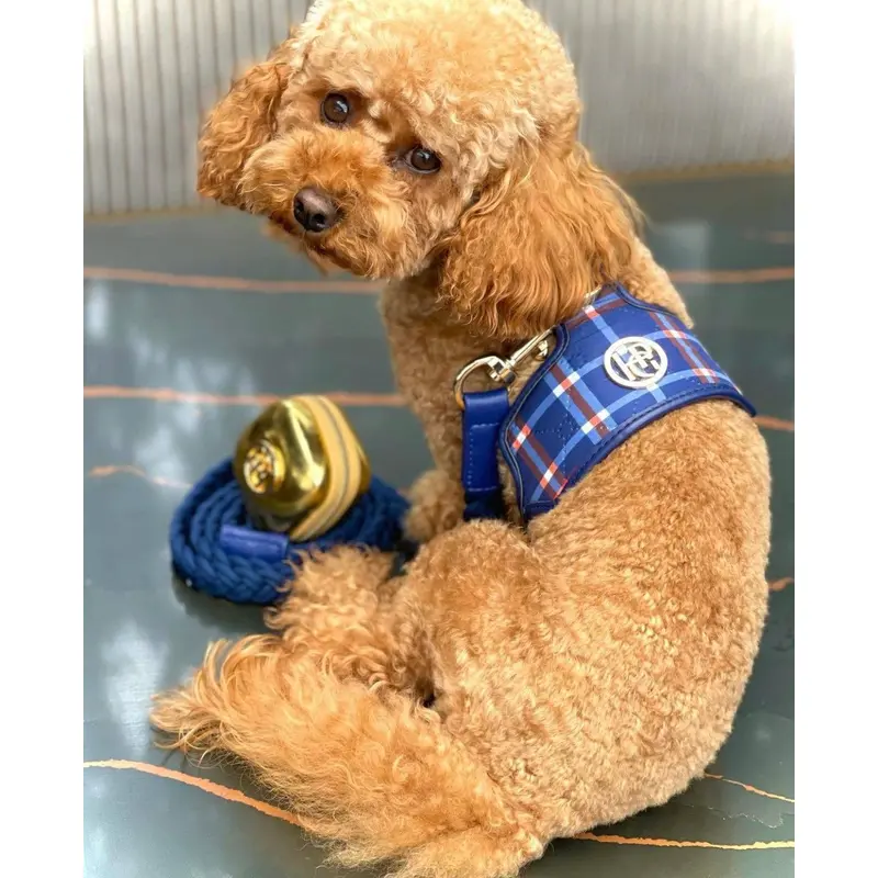 Dog/Cat Harness Blue/Red- Check