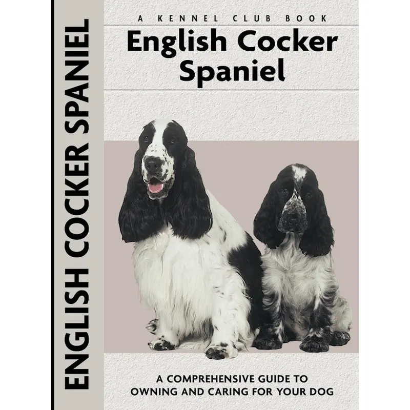 English Cocker Spaniel