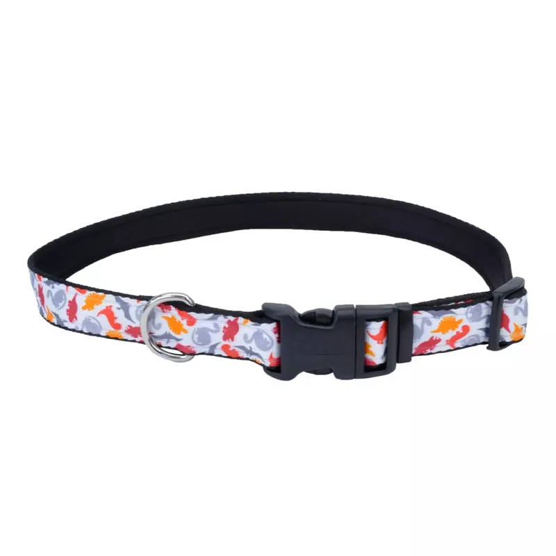 Coastal Exclusive Styles 1in Wide 14-20in Dog Collar Dinosaurs