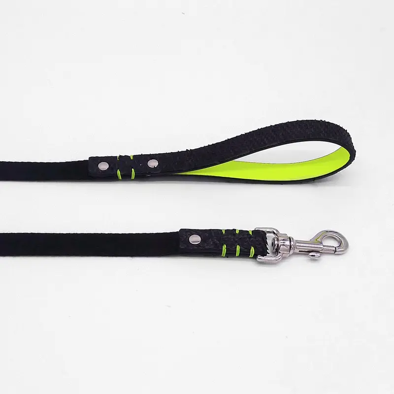 Scale & Fluo-Leash