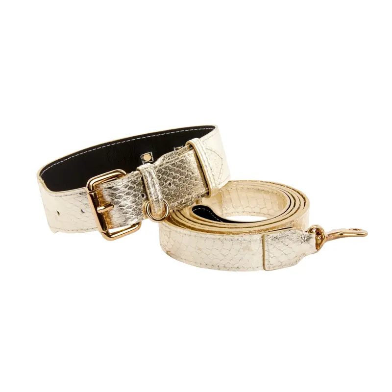 Gold Snake Collar & Leash Set With Classic Hardware
