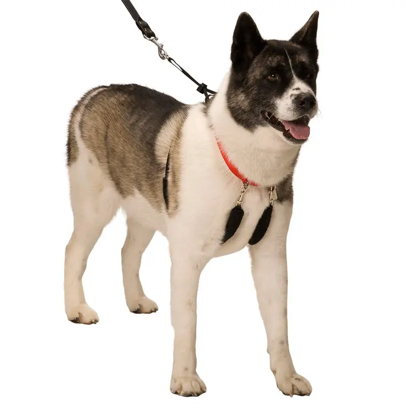 Original Sporn Halter