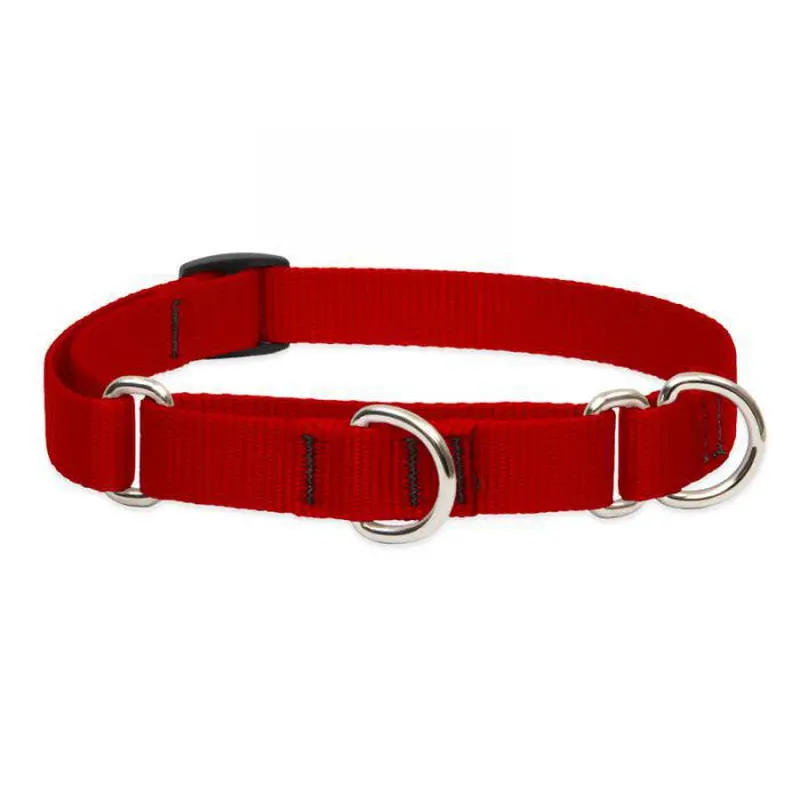 Lupine 3/4in Red 14-20 Martingale Training Collar