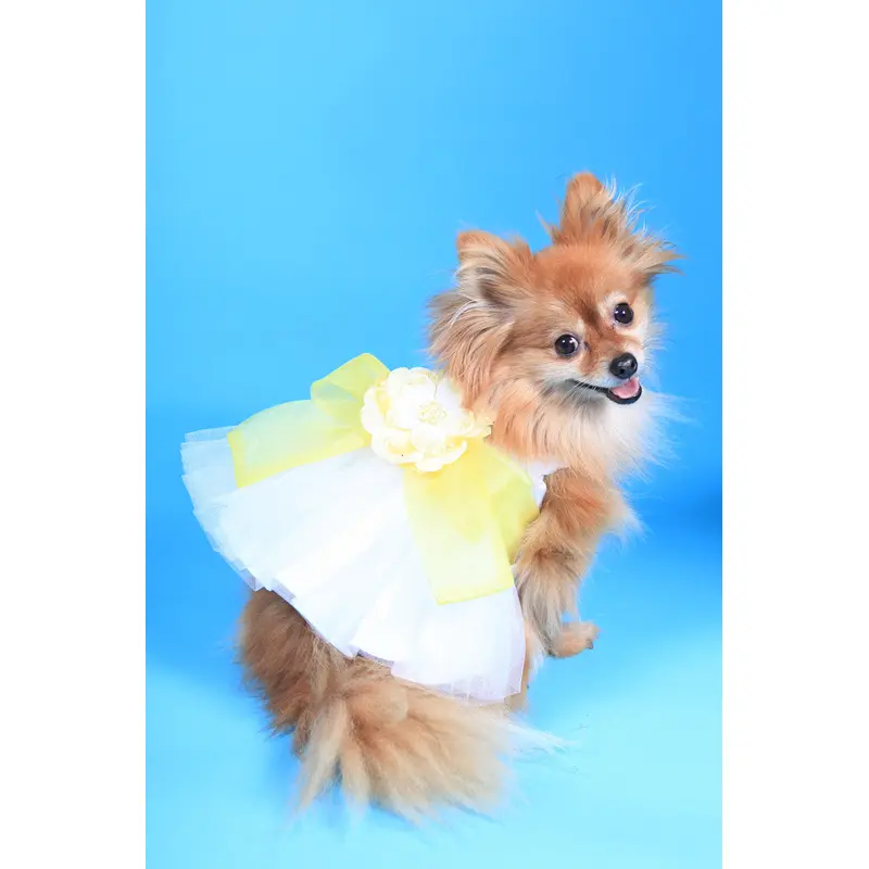 The Madeleine Harness Dog Dress with Yellow Sash