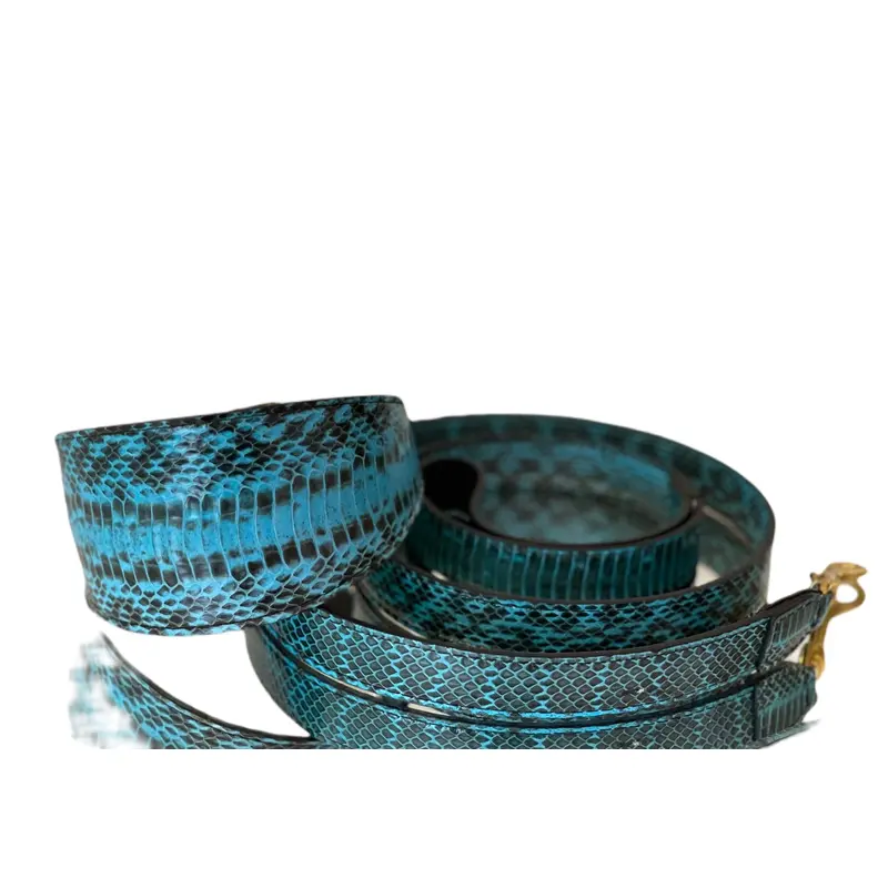 Luxury Pet Fashion Turquoise Black Snakeskin Collar & Leash Set