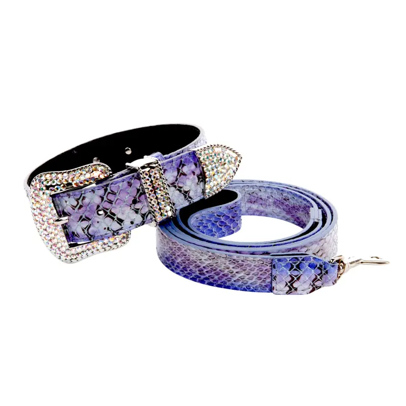 Purple/Silver/Black Custom Iridescent Snake/Swarovski Crystal Collar & Leash Set