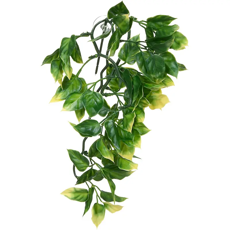 Exo Terra Plastic Terrarium Plant  Small  Amapallo