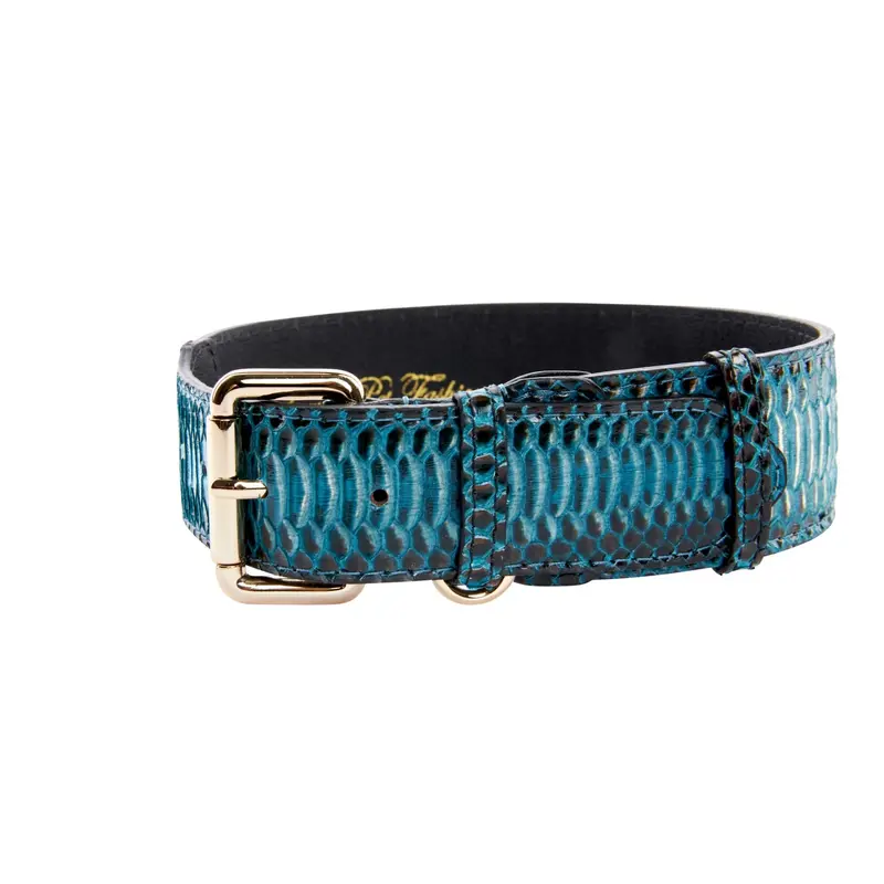 Turquoise, Black Snake Classic Collar With Gold Classic Hardware