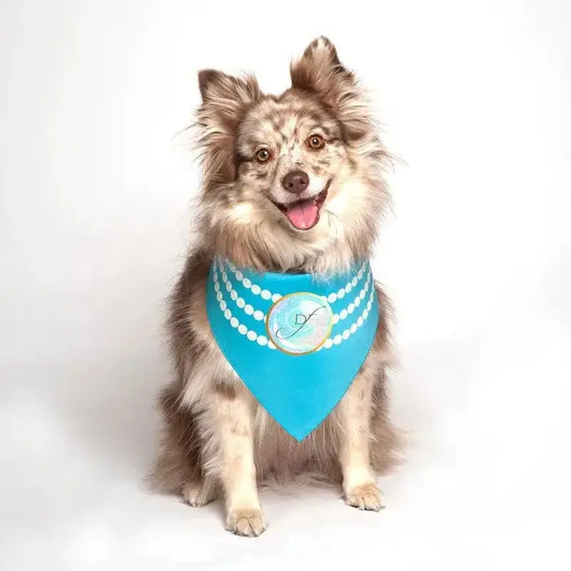 Pearl Fashion Wedding Dog Bandana by Dog Fashion Living