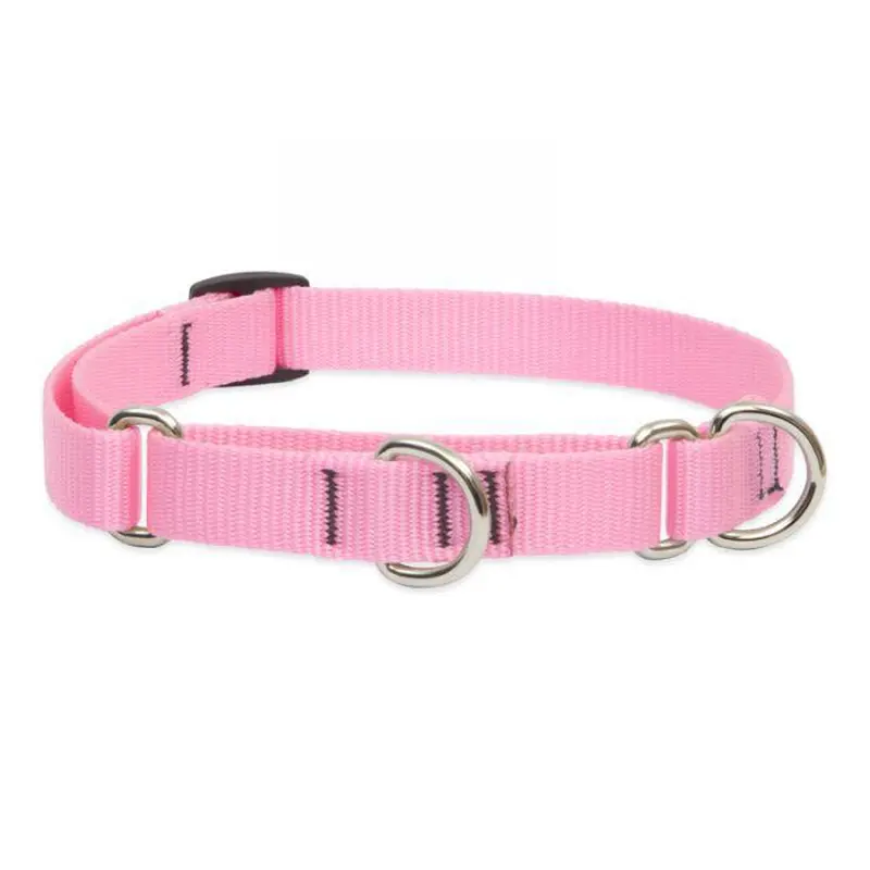 Lupine 3/4in 14-20 Martingale Training Collar