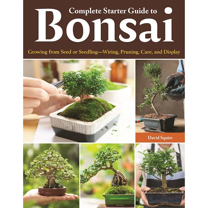 Complete Starter Guide to Bonsai